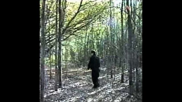 Yabujin - HOES IN THE FOREST смотреть онлайн