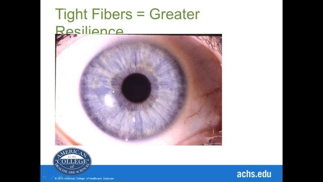 Introduction to Iridology with Betty Sue O'Brian смотреть онлайн