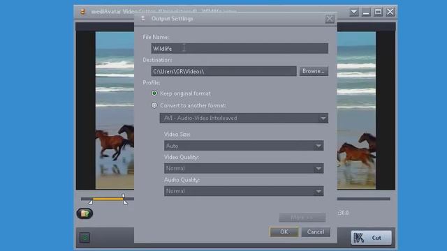 mediAvatar Video Cutter video demo смотреть онлайн