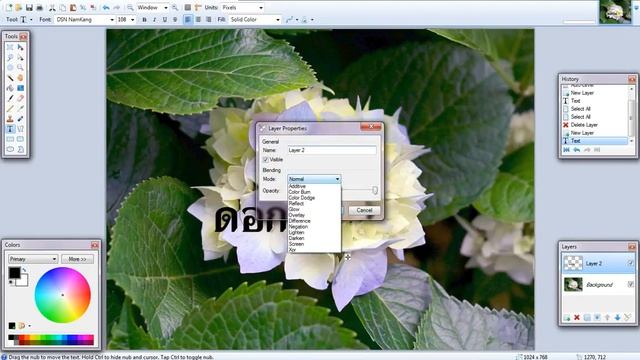 แนะนำการใช้โปรแกรม(Open source) Paint Net (มือใหม่) смотреть онлайн
