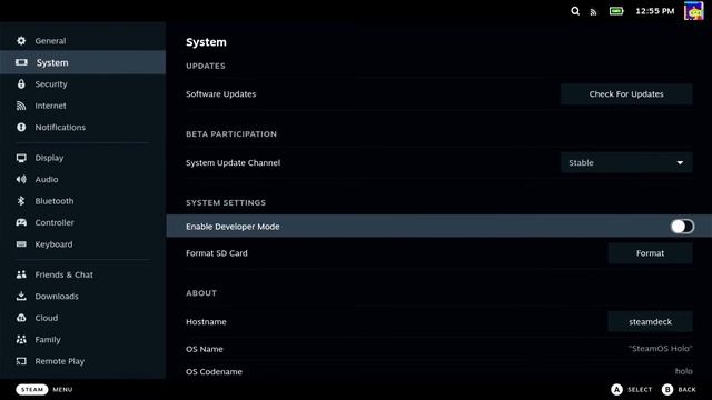 Enable Developer Mode on the Steam Deck смотреть онлайн