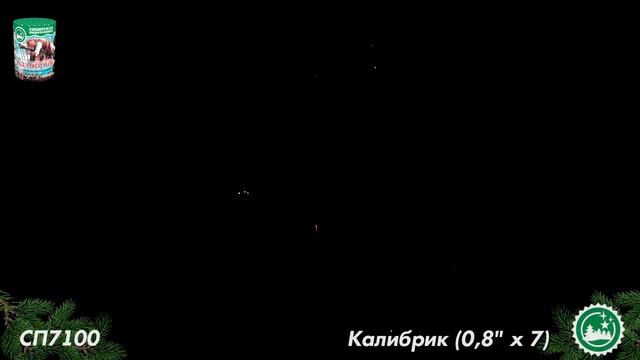 СП7100 смотреть онлайн