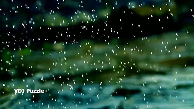 Virgil Hill - Miracle (VDJ Puzzle) смотреть онлайн