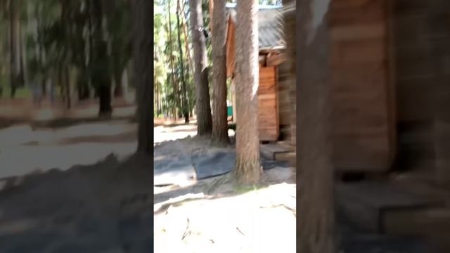 Спринт ориентирование на Яльчике, вертикальный ВЛОГ, просто чтобы был