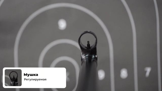 Обзор на Карабин ТОЗ 78 04М 22 LR смотреть онлайн