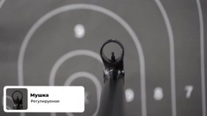 Обзор на Карабин ТОЗ 78 04М 22 LR