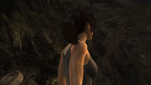 Tomb Raider Benchmark R9 280X AMD FX 8350 Max Settings смотреть онлайн