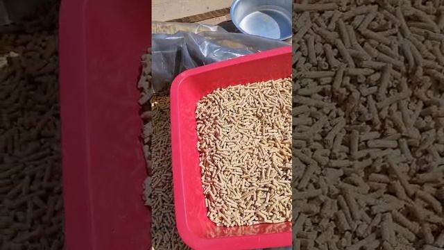 видео тест на комок