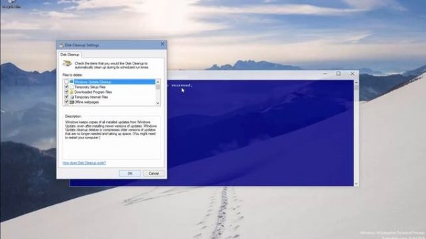 windows cleanmgr.exe