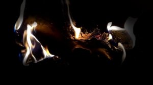 Слушай Псалмы перед сном под потрескивание костра  Псалмы с 17 по 24