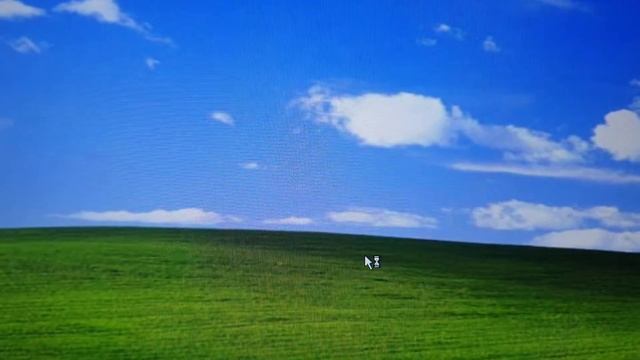 Windows xp aktivierung fehler смотреть онлайн