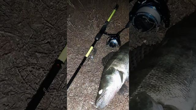 Очередная удачная рыбалка Павла Корнеева смотреть онлайн