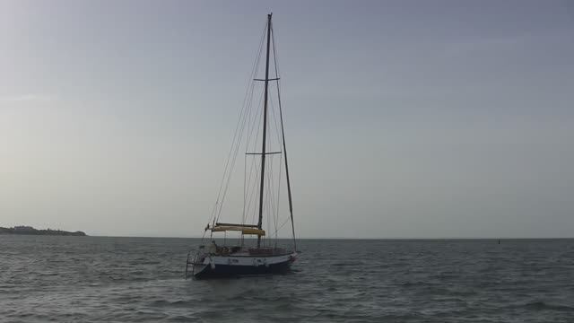 Коса Тузла (Средняя). Июнь 2014 г. смотреть онлайн