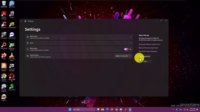 Windows Server Build 25941 (Traditional Chinese) in VMware 16! смотреть онлайн
