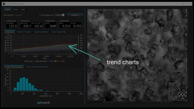 Pixact Process Monitoring Software смотреть онлайн