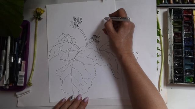 Зарисовки растений - Марина Любимова смотреть онлайн
