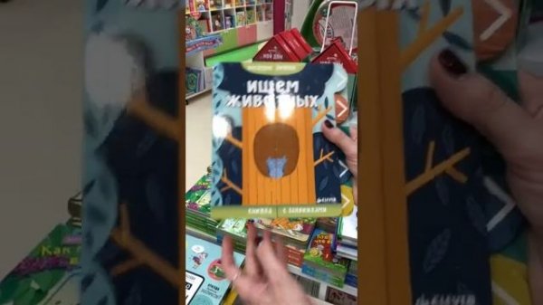 Новый обзор от Clever: все бестселлеры в одном видео