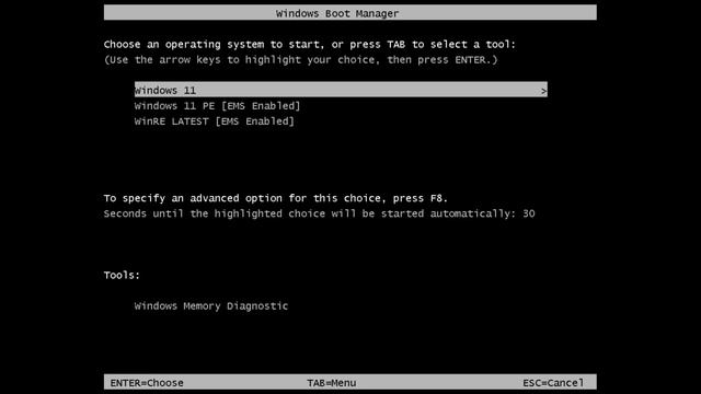 Running Chkdsk on Windows 11! смотреть онлайн