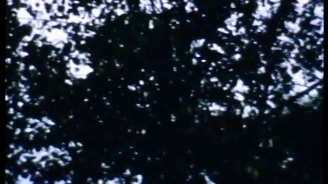 Super 8mm Film: The Window Right Live @ Wood Vibrations Festival - Canon 514XL-S Canosound смотреть онлайн