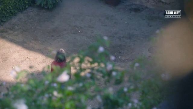 Mantap - Mantapan Setiap Hari | Alur Cerita Film Romantis Through My Window смотреть онлайн