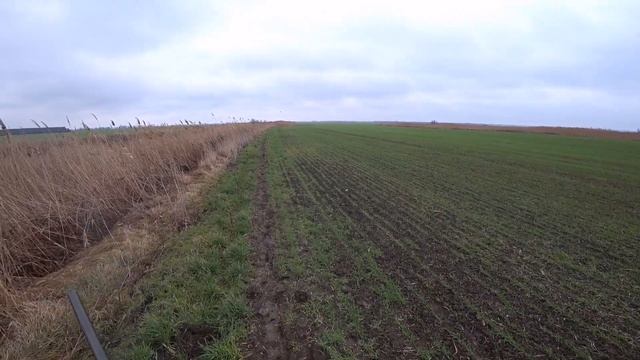 ТОЗ-34 и Курцхаар. Утка! 5 серия. Патрон входит в курс после долгого отсутствия смотреть онлайн