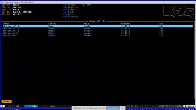 OKD4 on Digital Ocean + Intro to Fedora CoreOS Dusty Mabe Neal Gompa OKD4 Deployment Marathon смотреть онлайн