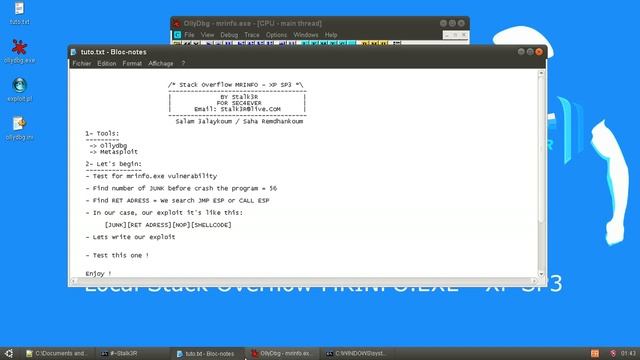Local Stack Overflow MRINFO.EXE - XP SP3 смотреть онлайн