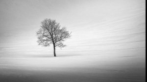 Фотографии природы Оренбургской области. Природа Оренбуржья. Долгие горы.