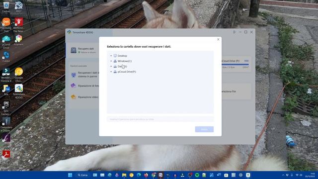 Tenorshare 4DDiG Data Recovery: come recuperare file cancellati da PC e Mac смотреть онлайн
