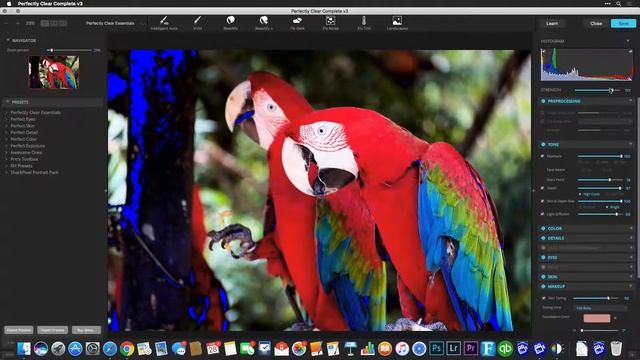 Getting Started with Perfectly Clear V3 for Adobe Lightroom смотреть онлайн