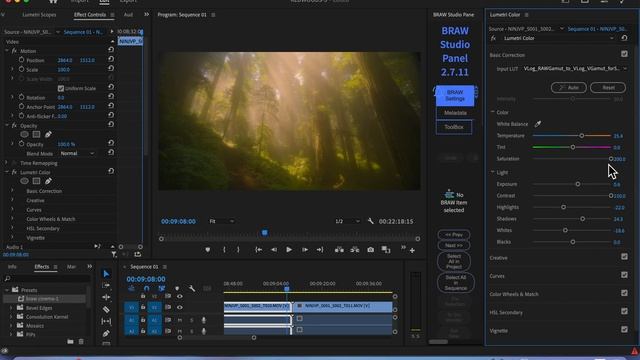 Color grading Apple ProRes RAW format in Premiere Pro смотреть онлайн