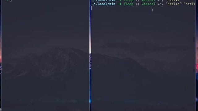 Automate Key Presses in LINUX | xdotool смотреть онлайн