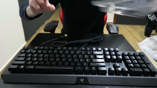 BLACKWIDOW X CHROMA 2016! - Meu Novo Teclado! смотреть онлайн