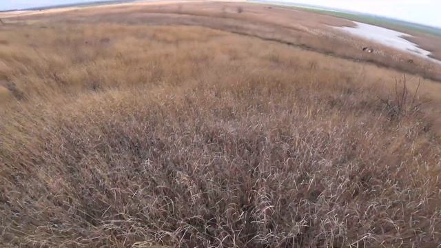 Все Охотники Добыли по зайцу! Ходовая охота по зайцу с Алтаем. смотреть онлайн