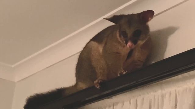When your window is open…at 3 am смотреть онлайн