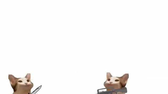 POP-Cat CS:GO часть 2 смотреть онлайн