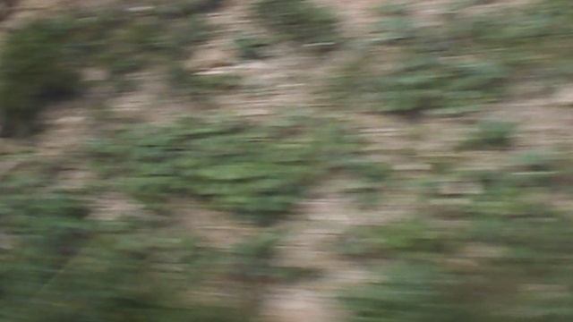 DSCN6984ДОЛИНА НАРЗАНОВ 2023