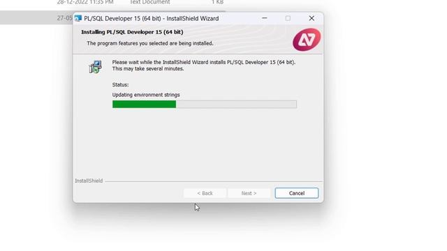 How to Install PL/SQL Developer on Windows 10/11 | Oracle Tutorial for Beginners смотреть онлайн