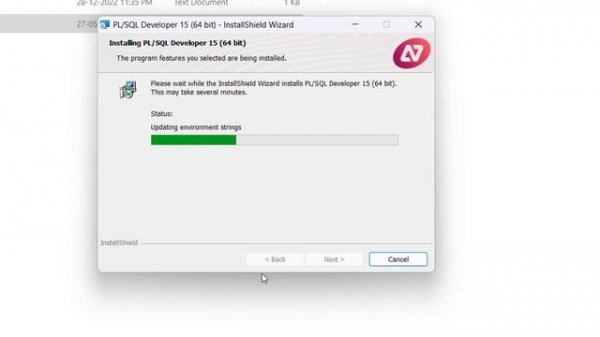 How to Install PL/SQL Developer on Windows 10/11 | Oracle Tutorial for Beginners