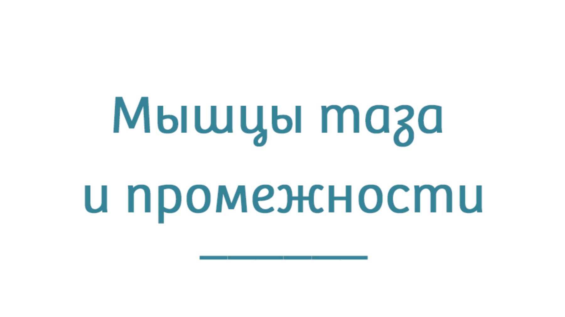 Мышцы таза и промежности смотреть онлайн