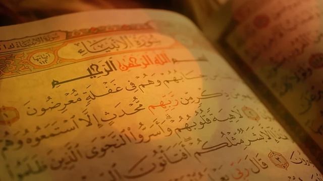 4 Особенности для человека .