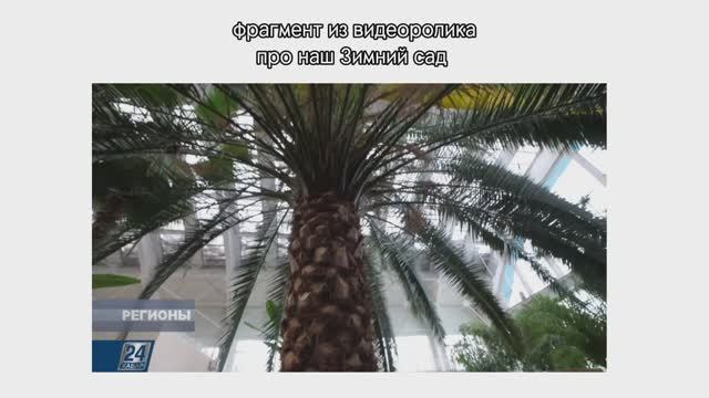 Три интересных факта о Темиртау... :) (первое задание)