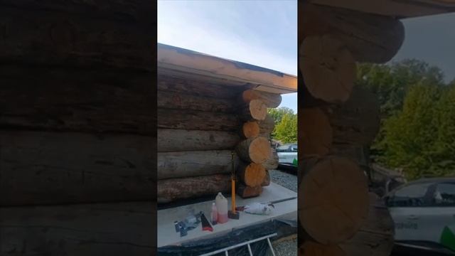 Баня в Сочи смотреть онлайн