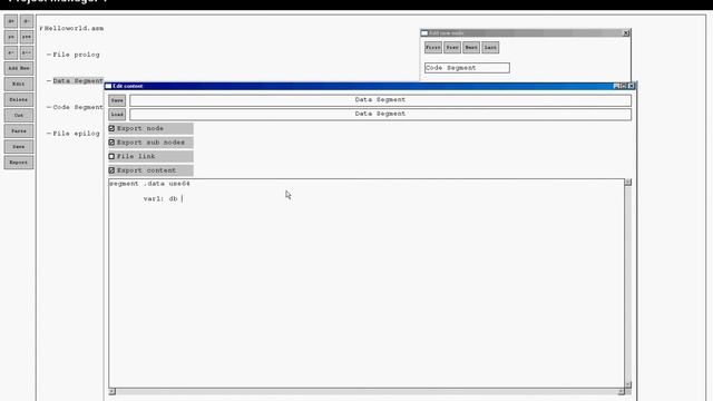 Win64 Experimental Project Manager 1 by Encryptor256 using NASM GoLink смотреть онлайн