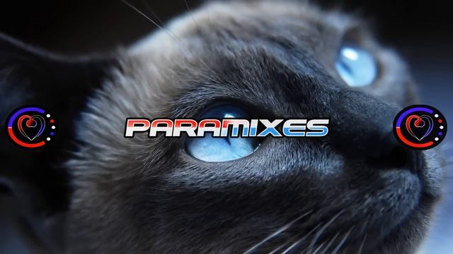 Best Melodic Dubstep Mix March 2015 - Melodic Dubstep Mix [1 Hour]