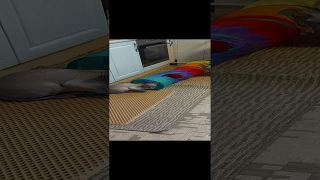 1000489514.mp4
Сфинксы,Симон и Сима)) смотреть онлайн
