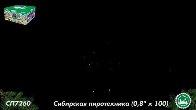 СП7260 смотреть онлайн