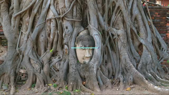 МИСТИКА В ПРИРОДЕ: ГОЛОВА БУДДЫ В КОРНЯХ ДЕРЕВА. ТРИ ТОЧКИ НА MAPS 🛕ТАИЛАНД БИРМА КАМБОДЖА смотреть онлайн