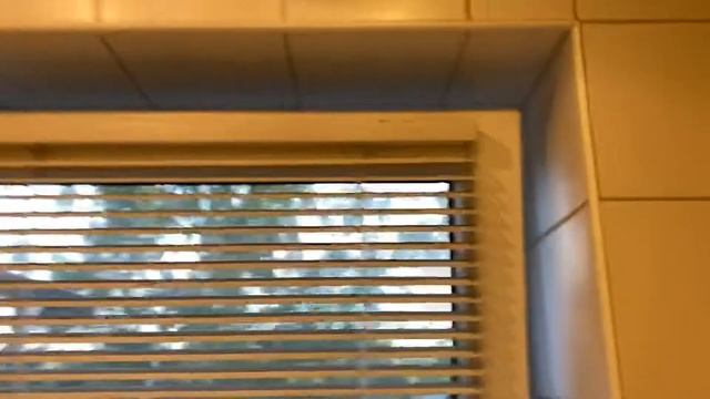 Little Things In Germany 🇩🇪 That Are Different. S1 E1 “Windows” смотреть онлайн
