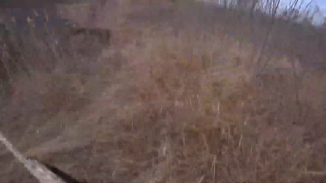 Сложные зайцы! Охота на утку превратилась в Охоту на зайца! Алтай и Дефф смотреть онлайн